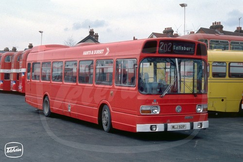 Bus photo hants - hants, dorset