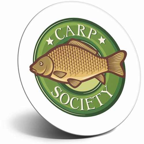 Awesome fridge magnet carp - fridge,
