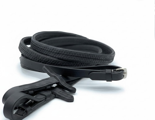 Horse reins with non - horse,