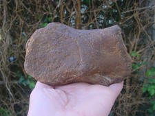 Rare large jurassic - v,