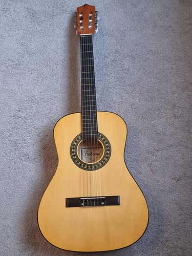 Falcon fg100n acoustic guitar - fg100n,