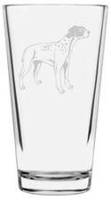 Braque francais dog - braque, (pyrenees)