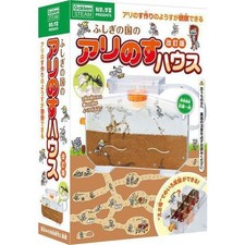 Science and Learning Ant House
