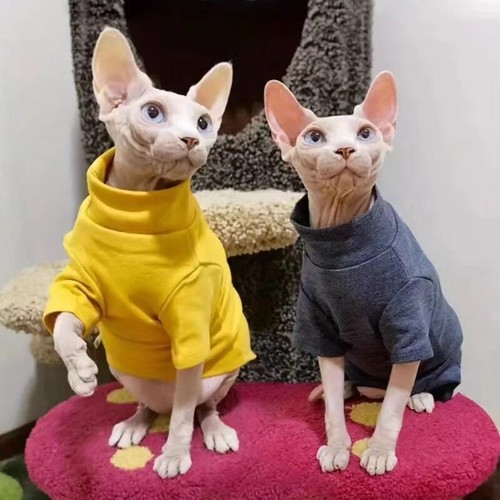 Sphynx cat clothes winter - clothes,winter, warm
