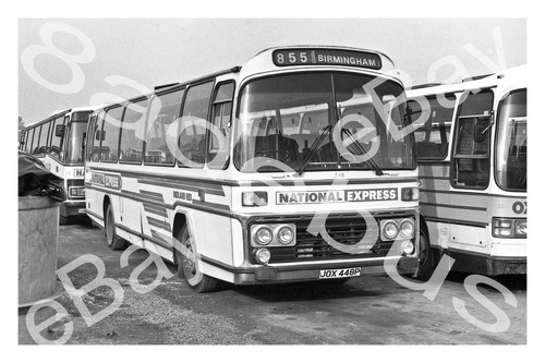 Bus photograph midland - photograph, red