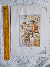 CICELY MARY BARKER - Acorn /