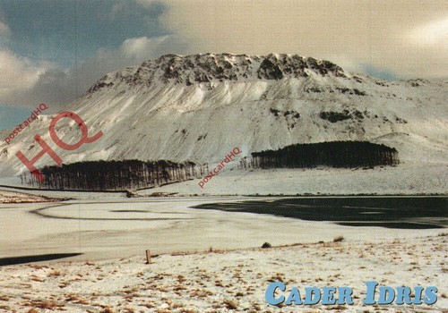 Picture postcard cader idris - cader,