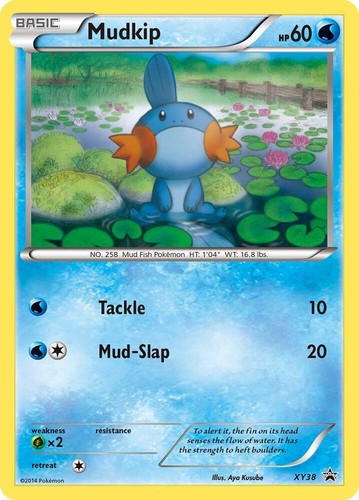 Mudkip holo promo promos - mudkip,