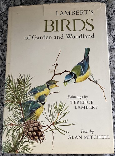 Lamberts birds garden and - birds, of