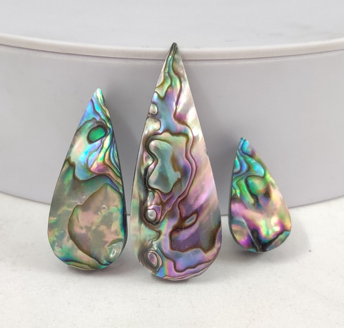 Paua abalone shell - paua,
