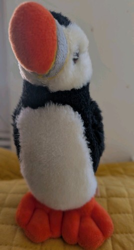 Baby puffer puffin bird - puffer,