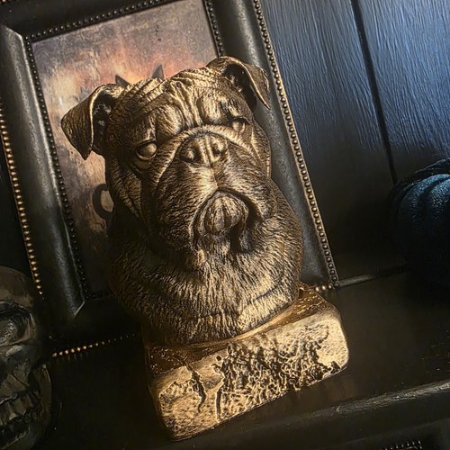 English bulldog bust memorial - bulldog,