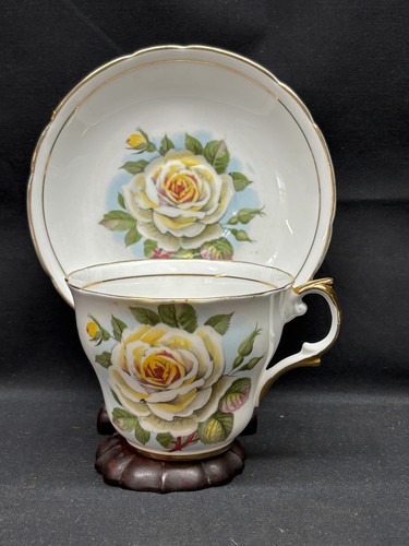 Regency yellow rose england - rose",