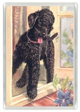 POODLE LOVELY DOG ART PRINT NOVELTY FRIDGE MAGNET  GREAT GIFT