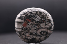 Polished jasper with crinoid fossils - Bag of 2