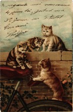 PC CATS, FOUR CATS PLAYING