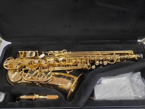 Yanagisawa wo10 alto - yanagisawa,