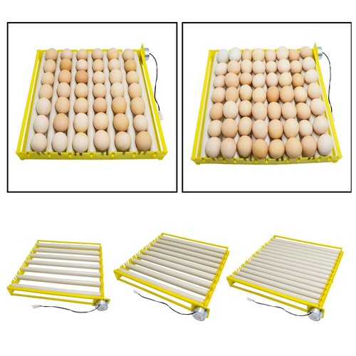 Plastic automatic egg - plastic,