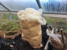 Sheep Wool.  Natural Hand