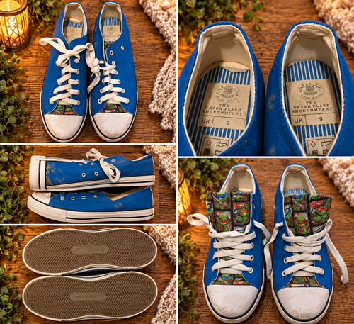 The green flash shoe - the,