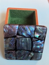 Small New Zealand Paua /