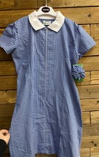 Blue Girls Banner Gingham