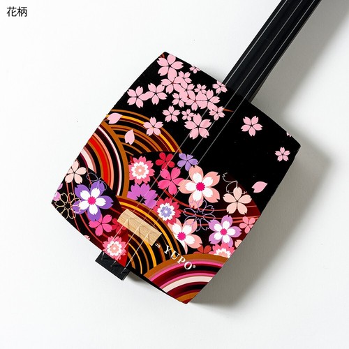 Japanese sangenshi kikuoka - sangenshi,