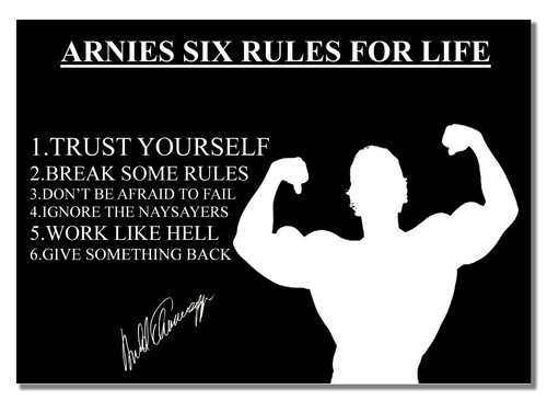 Arnold rules inspired by - arnold,