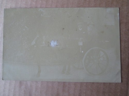 Postcard horse trap - of,