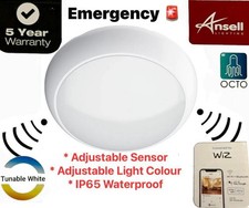 13W LED Bulkhead Wall &