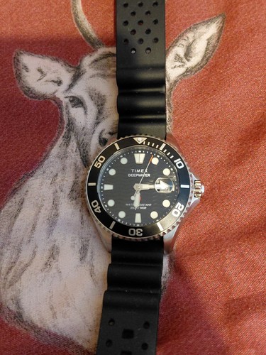 Timex deepwater meridian 200 - deepwater,