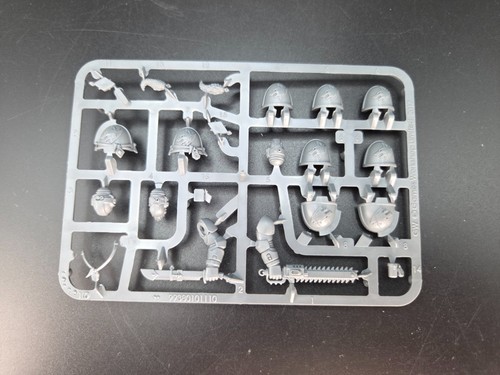 Space wolves primaris - wolves, upgrade