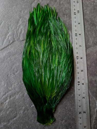 Parrot green chinese cock cape - green,