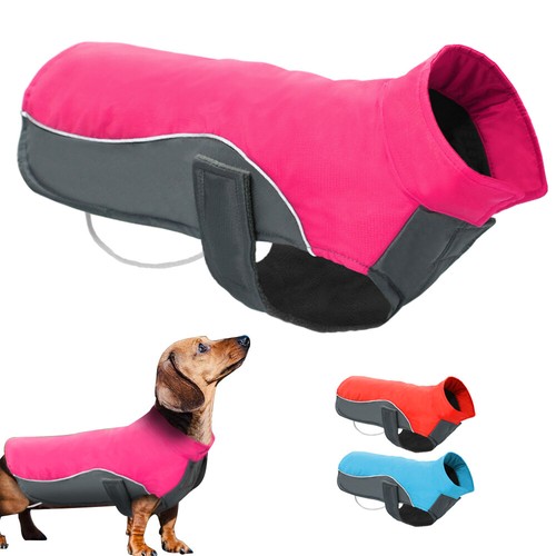 Warm dog coats - dog, jacket