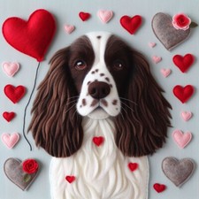 Luxury Springer Spaniel