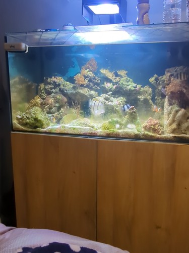 Marine tank and full - marine, up,