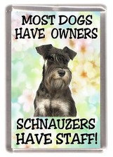 Miniature Schnauzer Fridge