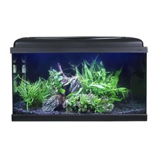 Swell LED Complete Aquarium