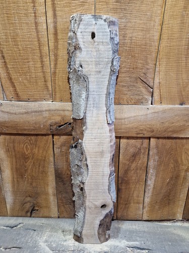 Live edge holly slab - live, (055)