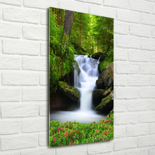 Wall art picture print - wall, acrylic