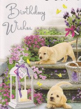 OPEN FEMALE MALE HAPPY