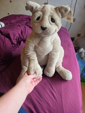 Cookie The Cat From Cuddly