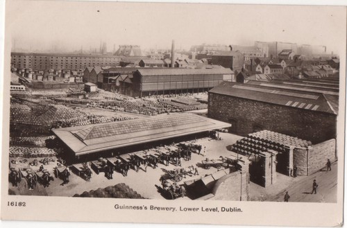Vintage postcard guinness - postcard, guinness's