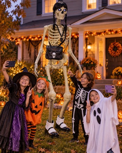 12ft skeleton accessory - 12ft, kit