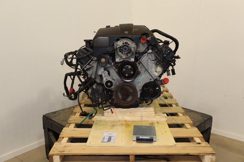 Ford 2v romeo - 4.6l, v8