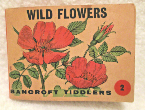 Wild flowers bancroft - wild, flowers~bancroft