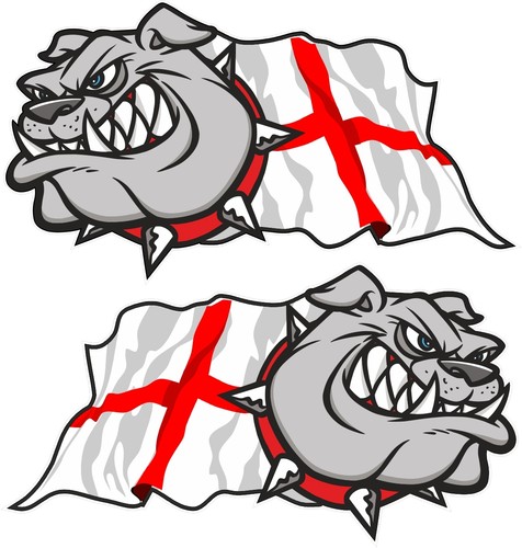 Handed pair british bulldog - british,