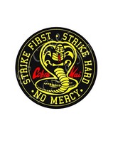 Cobra Kai inspired Edible Cake