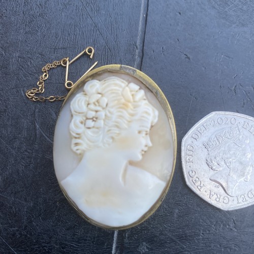 Antique carved shell cameo - antique,