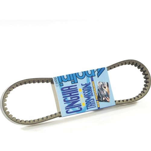 Polini variator belt gilera - polini, 50
